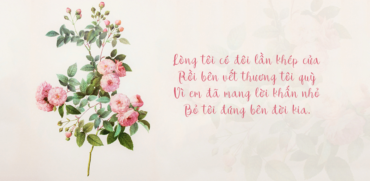 Một bài thơ hay của Trịnh Công Sơn